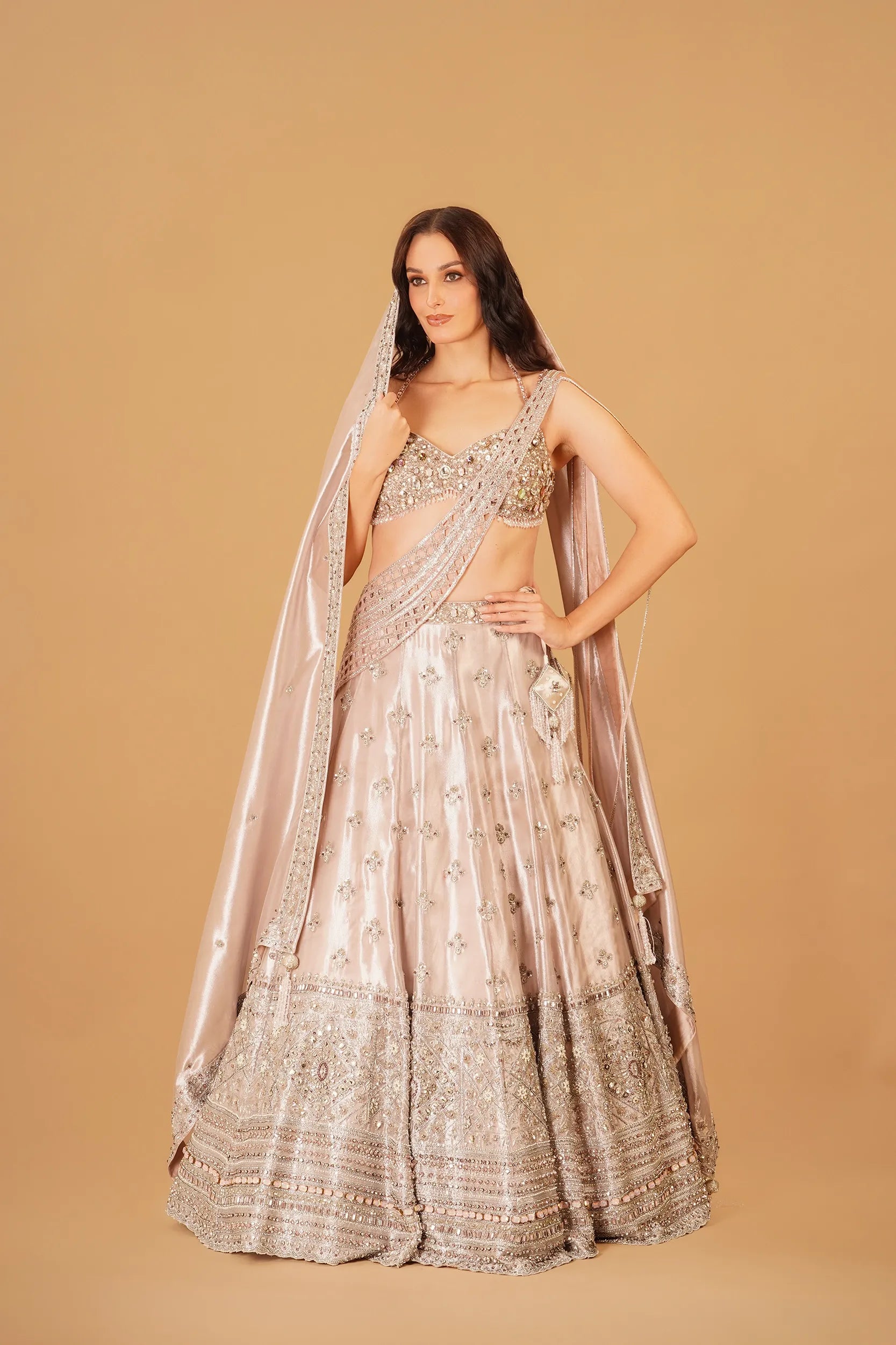 Light Pink Tissue Lehenga