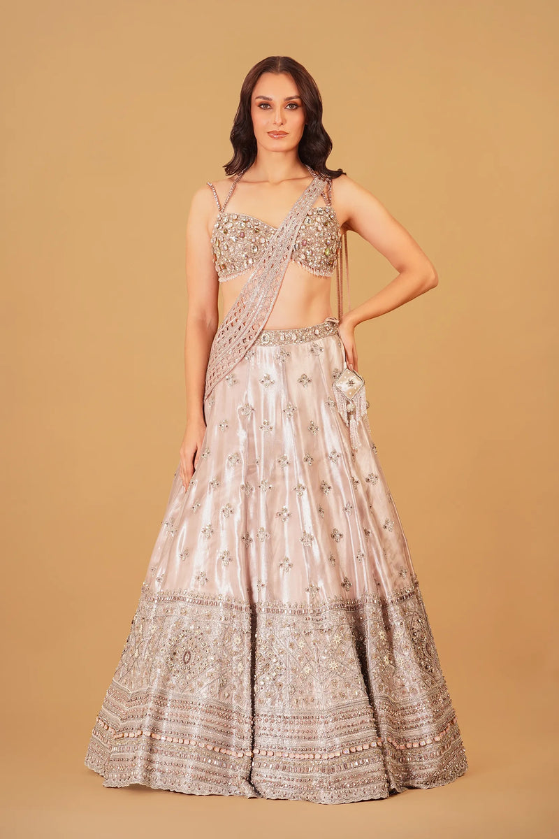 Light Pink Tissue Lehenga — alternate view